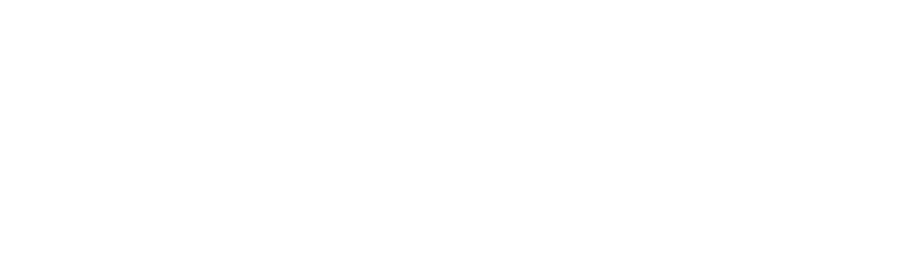 Logo brooklyn blanc